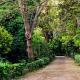 Vodič za fotografije iz Atene: Nacionalni vrt je oaza u blizini centra grada