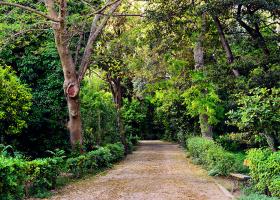 Fotovodnik po Atenah: Narodni vrt – oaza v središču kraja