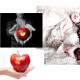 Apple tree - the tree of love and fertility Apple - forbidden fruit