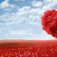 Vulgární pozdravy na Valentýna - muži, ženy, přátelé, přátelé