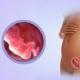 Доклад, обясняващ проблемите с гадене, повръщане и токсикоза (ранна гестоза) по време на бременност: причини и ефективно лечение